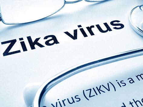 El virus Zika y las mascotas – Lo que sabemos y lo que no sabemos